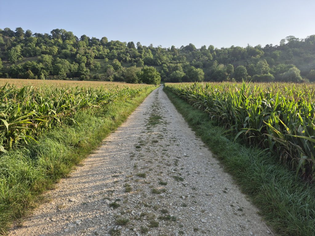 Auf dem Weg, den du durchs LEBEN gehst ...