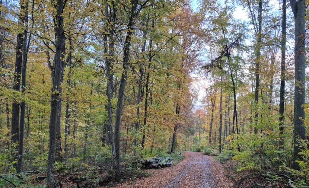 Das Leben - langsam und achtsam
